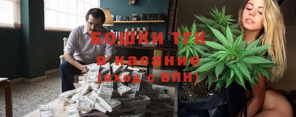 твердый Алексеевка