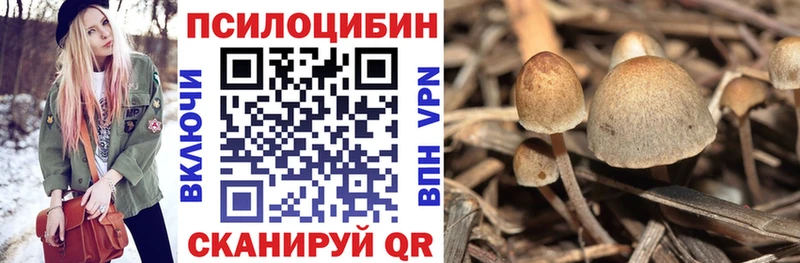 купить  цена  Владикавказ  Галлюциногенные грибы GOLDEN TEACHER 