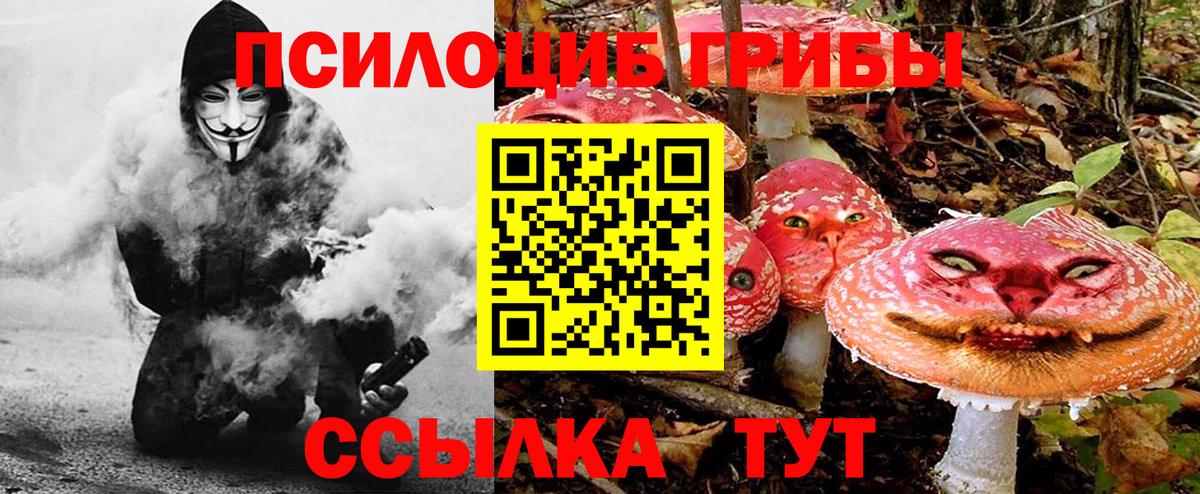 Псилоцибиновые грибы прущие грибы Владикавказ